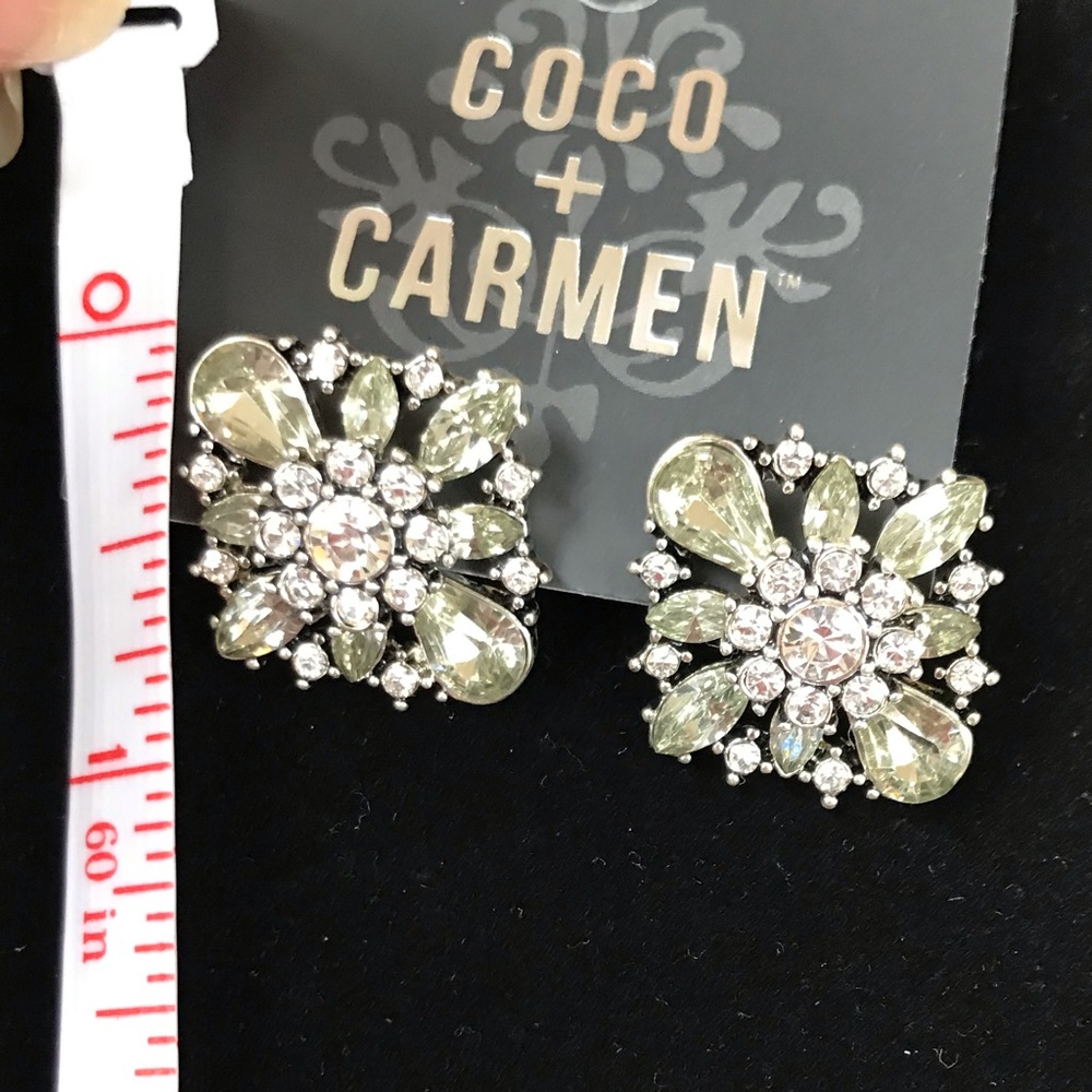 Clear Rhinestones Stud Earrings NWT Silver Accent